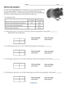 Genetics Practice Punnett Squares With Skinny Pigs By Biologycorner