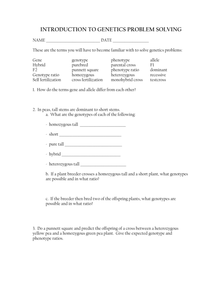 Genetics Problem Solving Worksheet