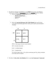 Genetics Problem Worksheet 2 Carolina Herrera docx Carolina Herrera 1 