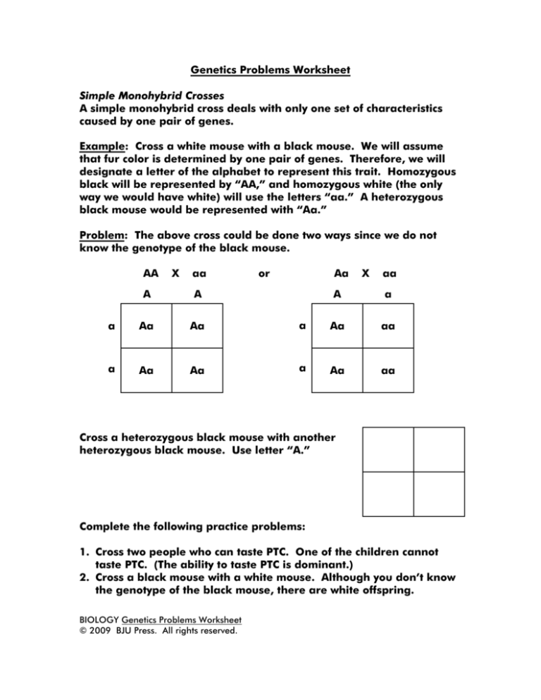 Genetics Problems Monohybrid Crosses Worksheet