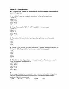Genetics Problems Worksheet Answers Wordworksheet