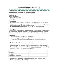 Genetics Problems Worksheets