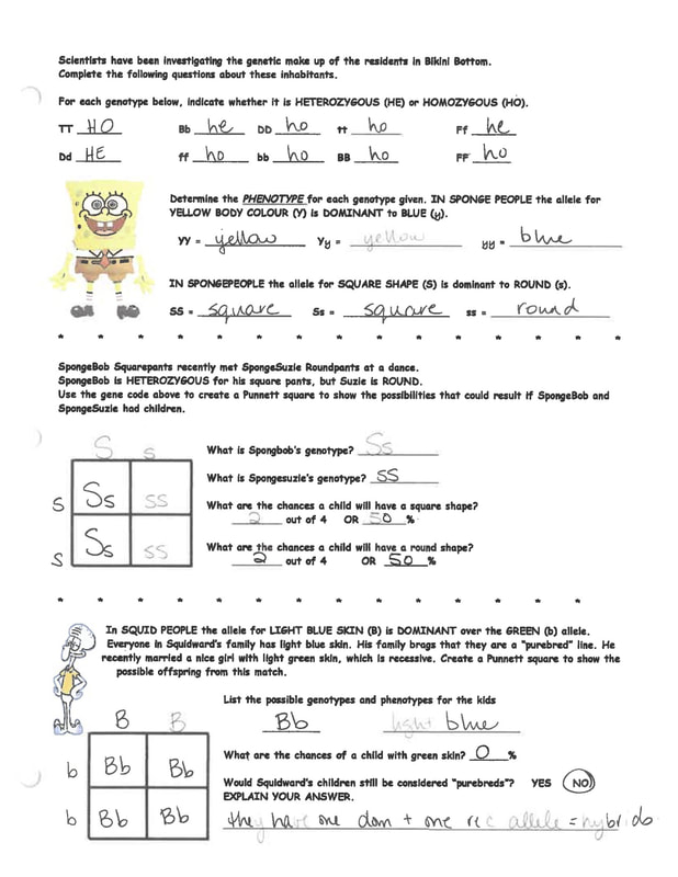 Genetics Punnett Squares Practice Worksheet