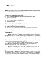 Genetics Reading And Vocabulary docx Genetics My Parents Wrecked My 