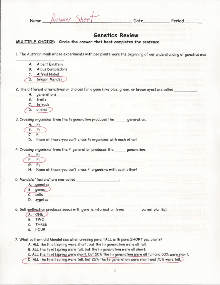 Genetics Review Worksheet Mendel 39 s Laws Inheritance