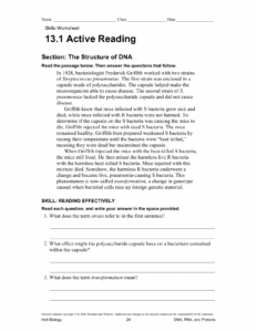 Genetics Skills Worksheet Answers Holt Biology SkillsWorksheets