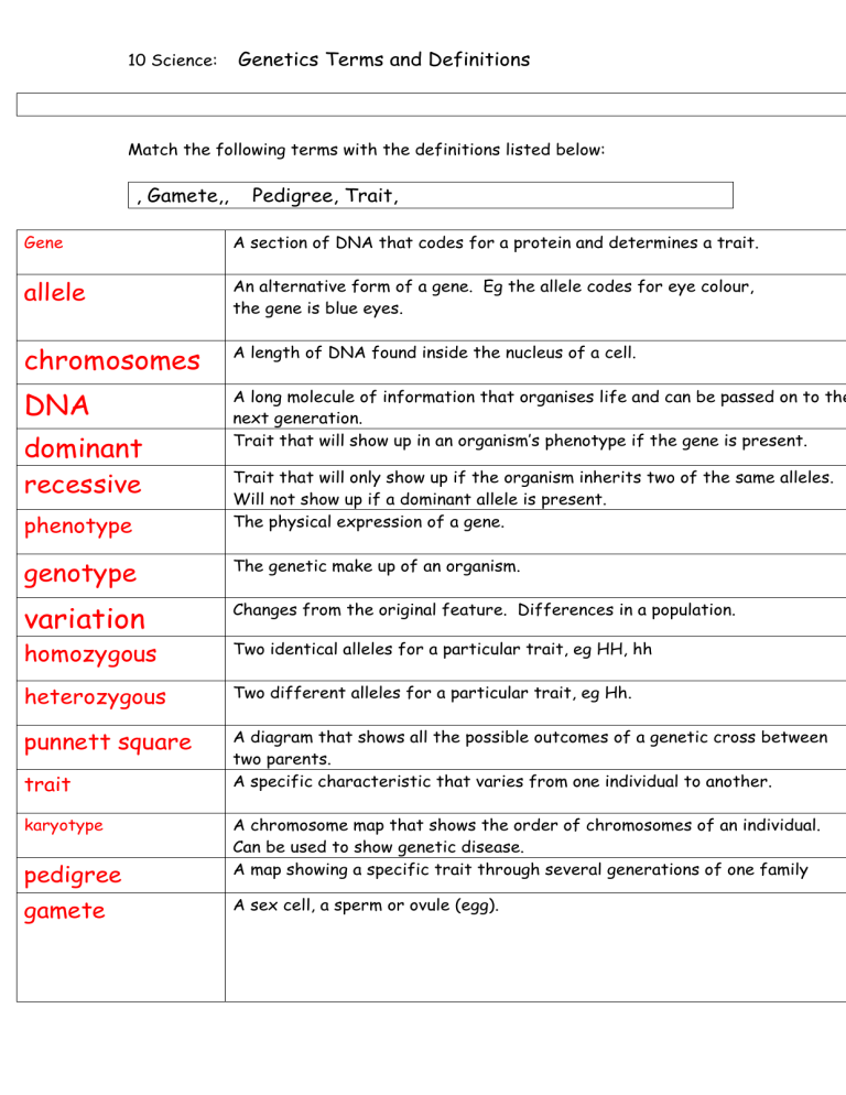 Genetics Terms Definitions Worksheet