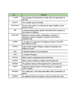 Genetics Terms Notes Term Definition Heredity The Passing Of