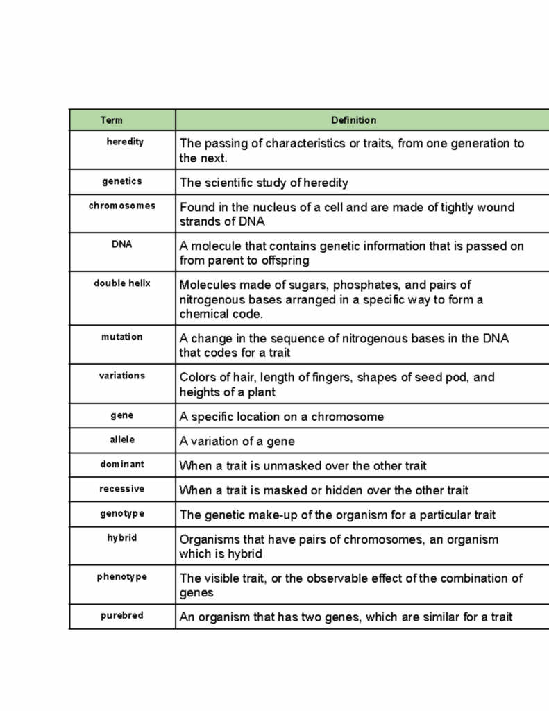 Genetics Terms Notes Term Definition Heredity The Passing Of 