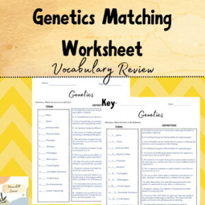 Genetics Vocabulary Match Engaging Worksheet For Key Terms TPT