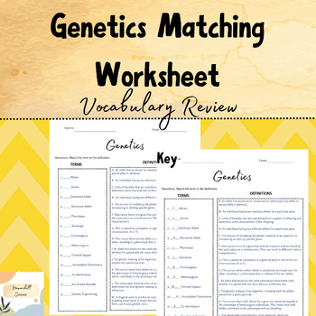 Genetics Vocabulary Match Engaging Worksheet For Key Terms TPT