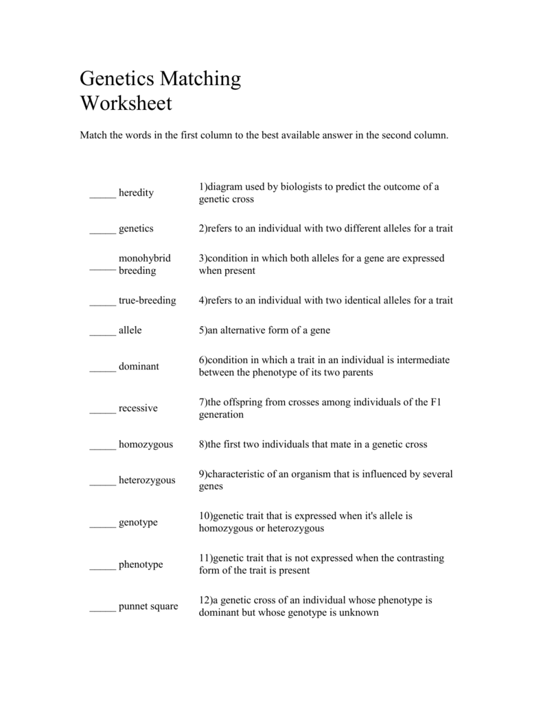  Genetics Vocabulary Matching Worksheet Free Download Goodimg co