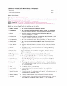 Genetics Vocabulary Matching Worksheet Pdf Answer Key Fill Online