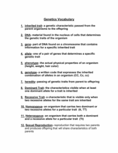 Genetics Vocabulary Worksheet Answer Key