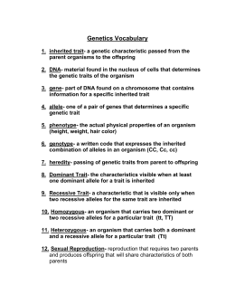Genetics Vocabulary Worksheet Answer Key