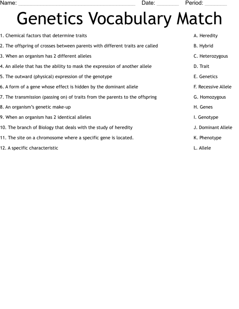 Genetics Vocabulary Worksheet Answers