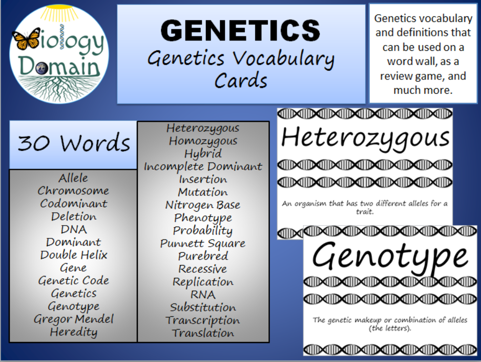 Genetics Vocabulary Worksheet Answers Ra1fiblrtlkovm Allele This Is 
