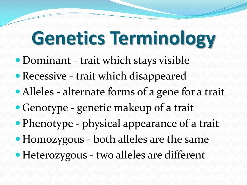 Genetics Vocabulary Worksheet Pdf