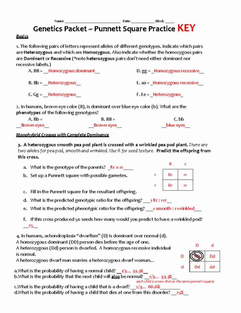 Genetics Worksheet Answer Keys Name