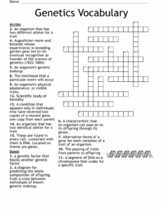 Genetics Worksheet Section A Vocabulary Answer Key
