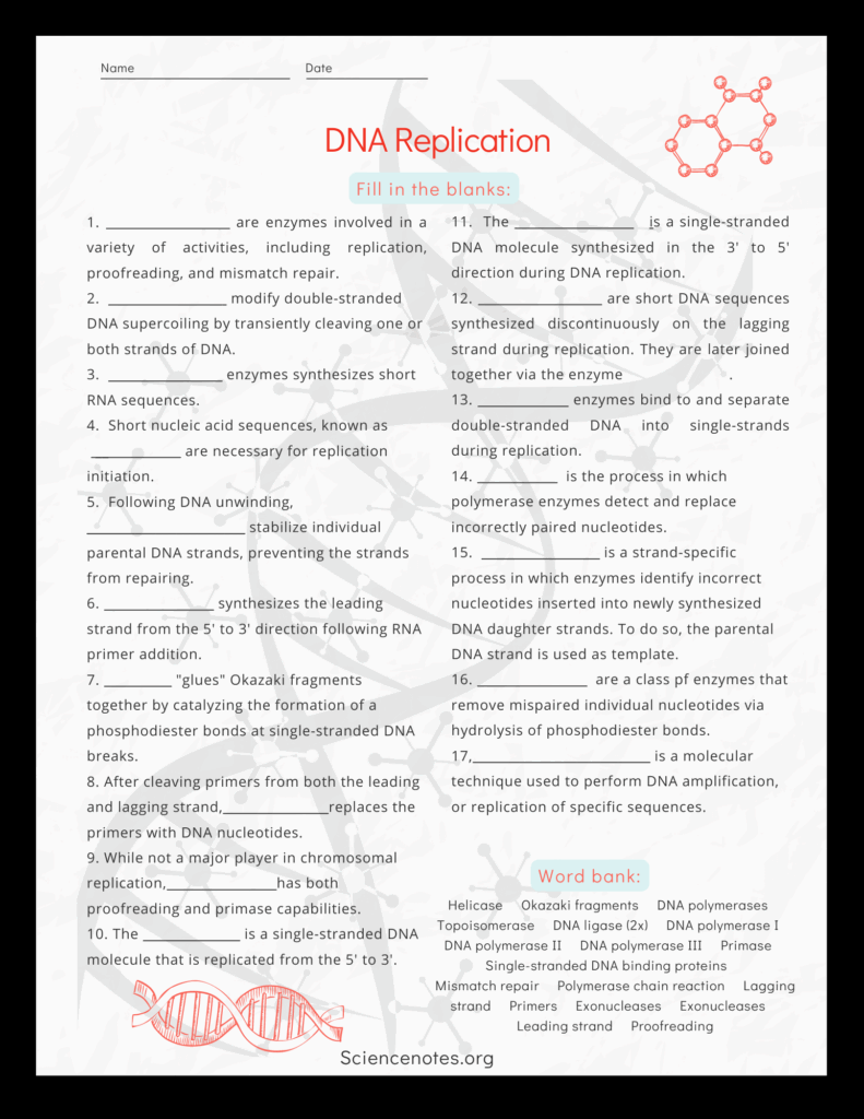Genetics Worksheets And Printables Worksheets Library
