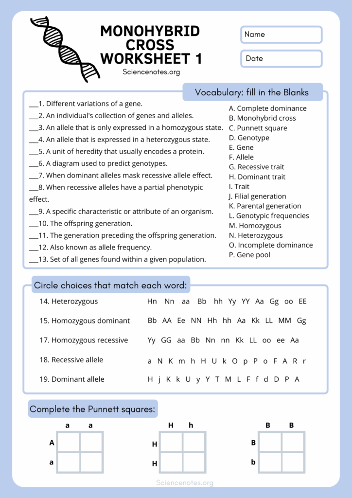 Genetics Worksheets And Printables Worksheets Library