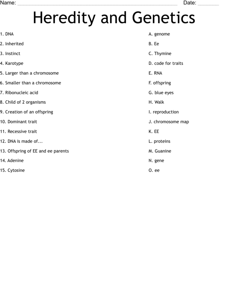 Genetics Worksheets For Middle School