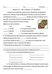 Genetics Worksheets