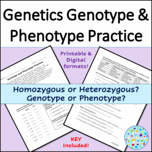 Genotypes And Phenotypes Genetics Worksheet Made By Teachers