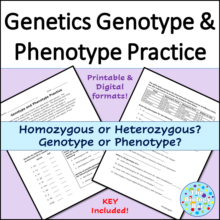 Genotypes And Phenotypes Genetics Worksheet Made By Teachers 