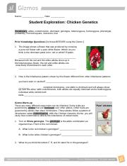 Gizmos Chicken Genetics Worksheet docx Name Date Student 