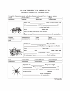 Gr 7 Arthropods Characteristics