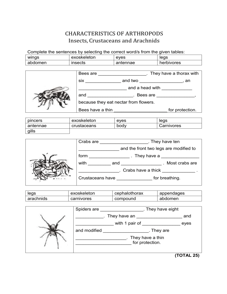  Gr 7 Arthropods Characteristics