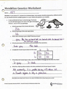 Gregor Mendel And Genetics Worksheets Answer Key Fill Online