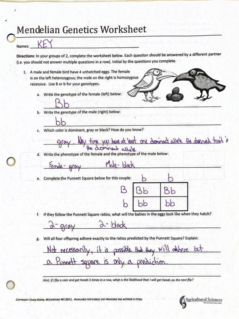 Gregor Mendel And Genetics Worksheets Answer Key Fill Online 