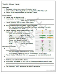 Gregor Mendel And Genetics Worksheets Answer Key Gregor Mendel The