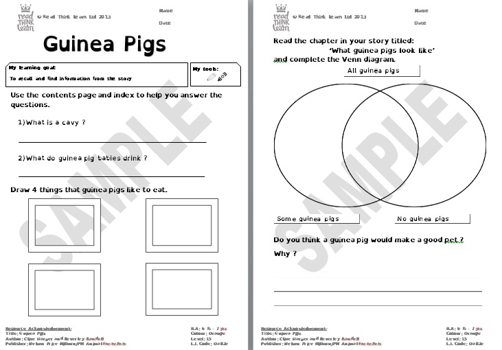 Guinea Pig Worksheet Science Genetics
