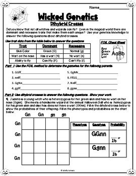 Halloween Genetics Worksheet Dihybrid Crosses By Schilly Science