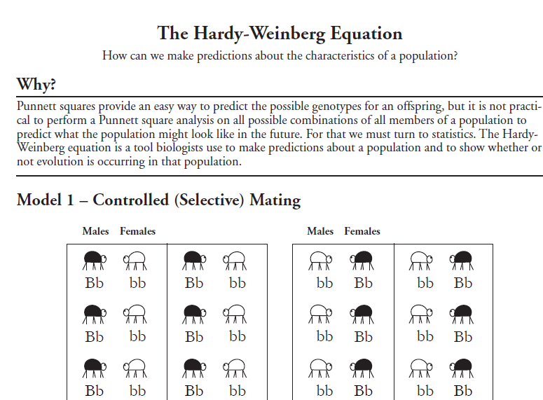Hardy Weinberg Equation Worksheet Answers A Guide To Population Genetics