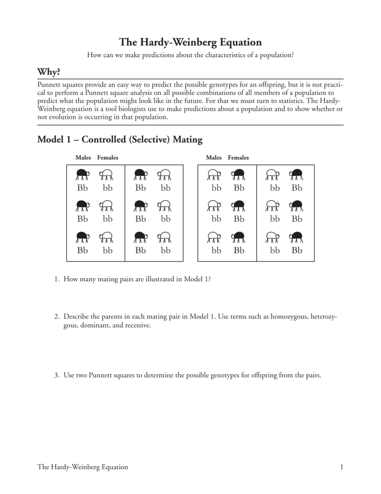 Hardy Weinberg Equation Worksheet Population Genetics