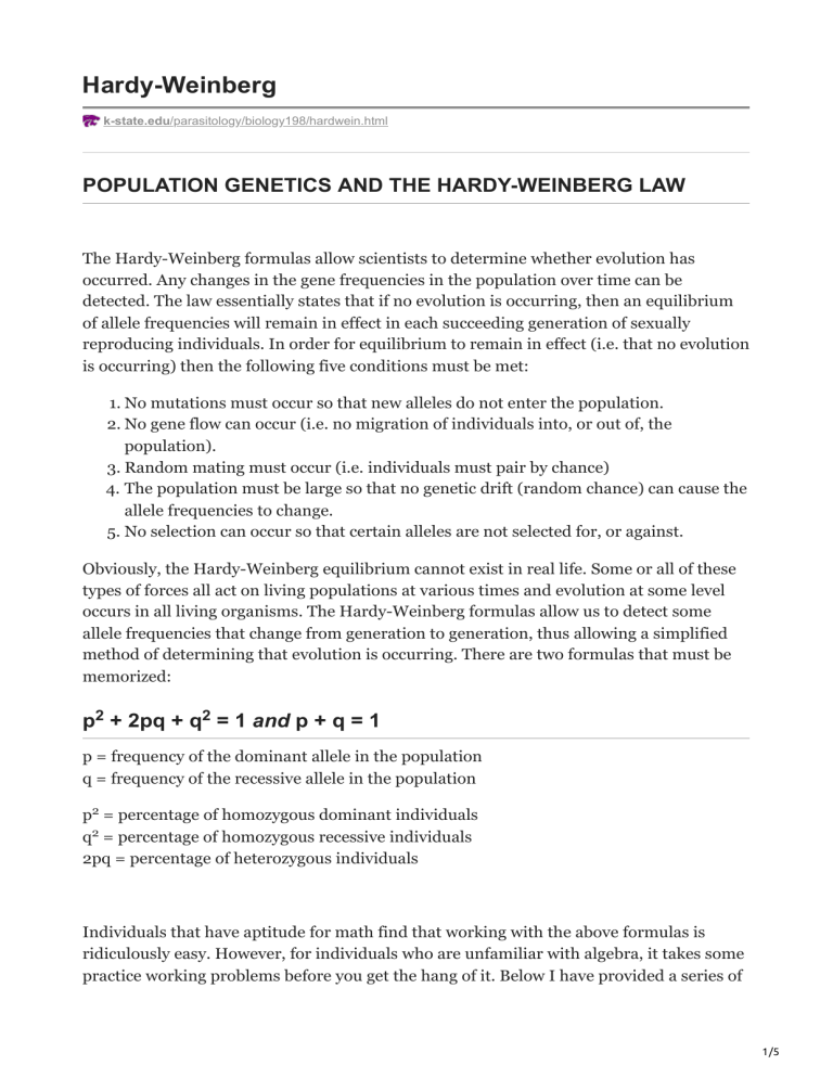 Hardy Weinberg Principle Worksheet