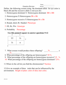 Harry Potter Genetics Answer Key Part 1 Athens Mutual Student Corner