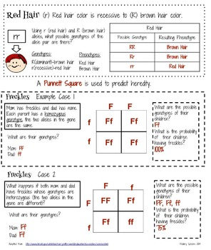 Harry Potter Genetics Lesson 1 By Next Generation Science Classroom