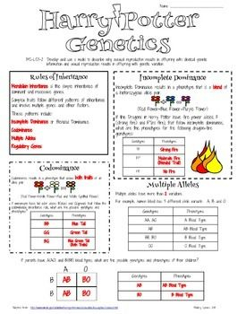 Harry Potter Genetics Lesson 2 Genetics Lesson Teaching Biology 