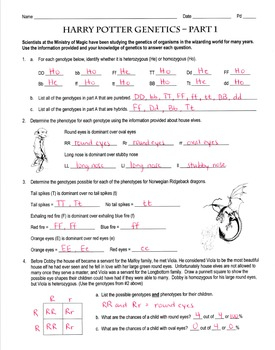 Harry Potter Genetics Part 1 Of 3 By Spyglass Biology TpT