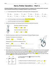 Harry Potter Genetics Understanding Genotypes Phenotypes And 