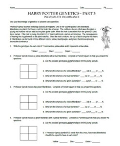 Harry Potter Genetics Worksheet