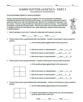 Harry Potter Genetics Worksheet