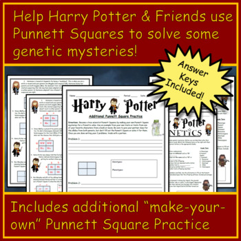 Harry Potter Punnett Square Practice By BioHero TpT