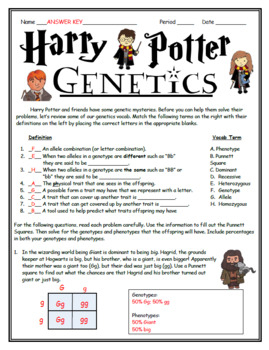 Harry Potter Punnett Square Practice By BioHero TpT
